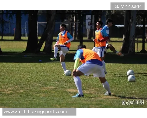 足球运动员的成长之路与职业生涯发展探讨